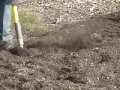 Air Spade Used to Remedy Soil Compaction