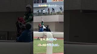 古川奈穂騎手、気性が荒い？？馬なため、先に馬場入り😅腕の見せ所ですね！結果3着🤩 #shorts