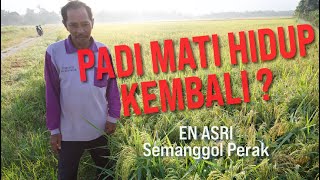 Review M100 Bersama En Asri, Semanggol Perak