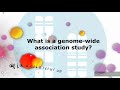 What Is Genome-wide Association Study