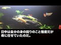 同居介護中の母が他界した直後、家に来た義母「この家は私が住んであげる！嫌なら嫁だけ出て行けば？ｗ」直後、真っ青な顔で震えだした夫「か、母さんまさか知らないのか…？」結果ｗ【修羅場】