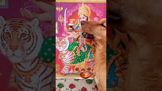 लेके पूजा की थाली #shorts #short #subscribe #shortvideo #shortsfeed #shortsfeed