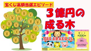 3億円の成る木【宝くじ高額当選エピソード】宝くじに当たった人の当たった人の体験談です。ジャンボ宝くじやロト6、ロト7を購入する方の参考になるかと思います。#ロト6＃ロト7＃宝くじ