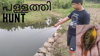 ചൂണ്ടയിട്ടു നാടൻ പള്ളത്തി പിടിച്ചാലോ...