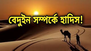 বেদুইন কাকে বলে || বেদুইন সম্পর্কে হাদিস || তাহিয়্যাতুল মসজিদ কখন পড়বেন || bangla Hadith video