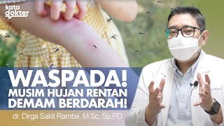 Awas! Demam Berdarah Rentan Muncul Di Musim Hujan | Kata Dokter