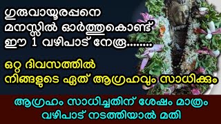 ഗുരുവായൂരപ്പന് ഈ 1 വഴിപാട് നേർന്നാൽ, ഒറ്റ ദിവസം കൊണ്ട് നിങ്ങളുടെ ഏത് ആഗ്രഹവും സാധിക്കും #viral