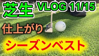 【芝VLOG 11/15】3.8mm芝刈り／芝生撮影のカメラについて【裏庭パッティンググリーン】