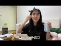 vlog 집에서 먹기만 하는 브이로그 초밥 불날개 집밥 국밥 페리카나 치킨 with 강아지