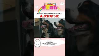 【まおショート】Q.インポスターを見つけたまおはどうなったでしょう？A.犬になった【Among Us】 #Shorts