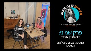 מצחיק שזה עצוב - פרק שמיני - ד