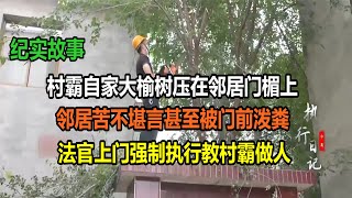 村霸自家大榆树压在邻居门楣上，邻居苦不堪言甚至被门前泼粪，法官上门强制执行教村霸做人