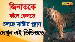 Bangla News | জিনাতকে ফাঁদে ফেলতে চলছে মাস্টার প্ল্যান! দেখুন এই ভিডিওতে | Viral Tiger News #local18