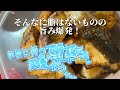 【幻の高級魚】ヒラスズキを釣って食う！！！