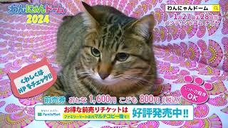 わんにゃんドーム2024　2024年1月27日（土）・28日（日）開催！