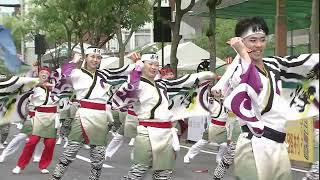 「安芸東陣」第70回よさこい祭り