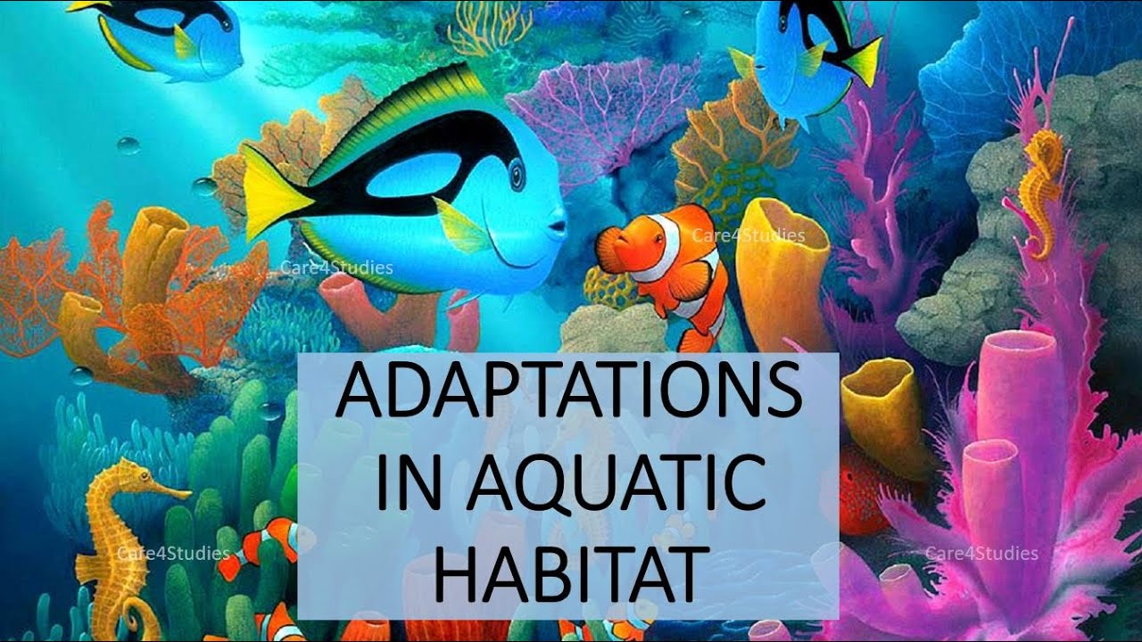 Adaptation In Aquatic Habitat I Chapter-9 |Living Organisms And Their ...