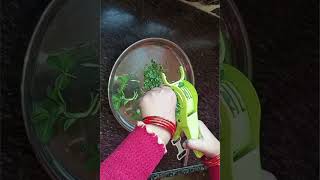 बिना चाकू बिना छुरी के साग कटने का नया तरीका|| #ranitipstriks#usefulkitchtips#kitchentipsinhindi