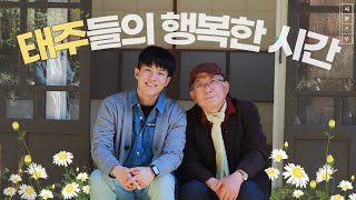 젊어서 알 수 있었다면 늙어서 할 수 있었다면, 나이 든 나태주가 젊은 나태주에게｜나태주의 시스루 EP.1-1