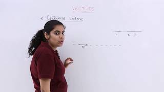 Class 12th – Collinear Vectors | Vector Algebra | Tutorials Point