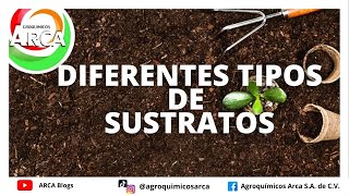 ¿CUÁLES SON LOS TIPOS DE SUSTRATO QUE EXISTEN?