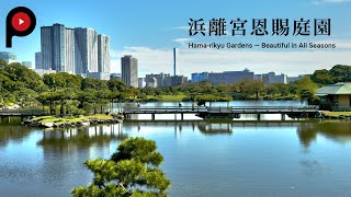 【浜離宮恩賜庭園】Hama-rikyu Gardens ― Beautiful in All Seasons