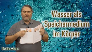 Wasser als Speichermedium im Körper