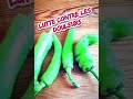 les 7 bienfaits Étonnants du piment