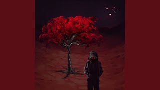 In Search Of