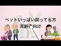 年初来高値更新【日経225オプション取引】6月19日 日経平均 株価予想 ai分析 日経225先物取引 デイトレのヒントも