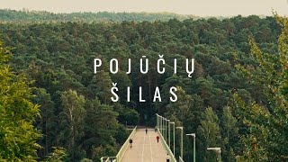 Pojūčių Šilas