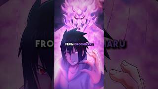 Why did Orochimaru choose Sasuke?