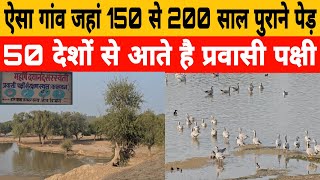 एक ऐसा गांव जहां 150 से 200 साल पुराने पेड़ ,,50 देशो से आते है पक्षी