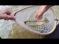 fly fishing in slovenia i soča marble trout pair