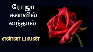 ரோஜா பூ கனவில் வந்தால் என்ன பலன்/roja dreams