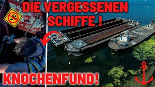 ENDROIT PERDU // Incroyable ! Ces 5 NAVIRES FANTÔMES 👻⛴️ DESCENDENT ici ! 😱