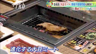 ＳＤＧｓ　注目の｢大豆ミート｣新規参入が続々～食感は“まるで肉”