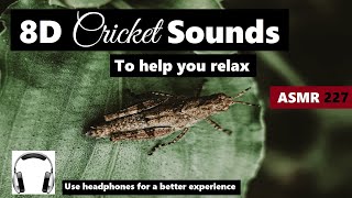 3 HOURS OF 8D CRICKET SOUND For relaxation and stress relief