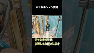 ハンドキャノンは持たないで下さい 【フォートナイト/Fortnite】