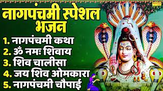 नागपंचमी स्पेशल भजन : नाग पंचमी कथा | Naag Panchami Katha | DS Pal | Naag Panchami Nonstop Bhajan