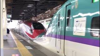 東北・北海道新幹線はやぶさ号・秋田新幹線こまち号　東京行き　大宮駅発車シーン　#鉄道