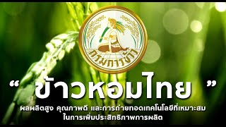 งานข้าวหอมไทย  โดยศูนย์วิจัยข้าว ชัยนาท