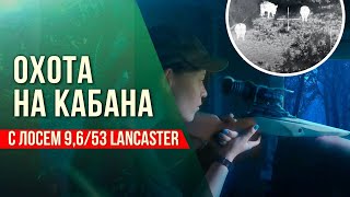 Девушка против кабана. Первая охота Кристины  с  Лосем 9,6/53 Lancaster