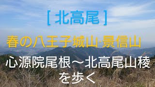 [北高尾]春の心源院尾根と北高尾山稜を歩く