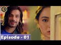 Visaal Episode 1 - Zahid Ahmed & Hania Aamir - Top Pakistani Drama