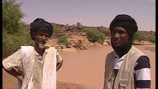 Crocodiles prisonnier des sables en Mauritanie