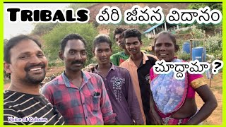 Tribals వీరి జీవన విదానం చూద్దామా|| Voice of Colours ||