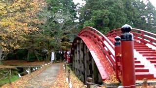 雨の日の　紅葉　丹生都比売神社　世界遺産