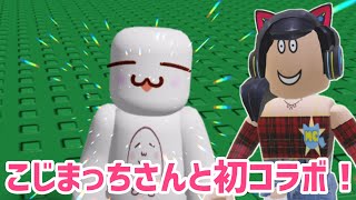 あんなことからこんなことまで聞いてきたら爆笑したww【ロブロックス】Roblox