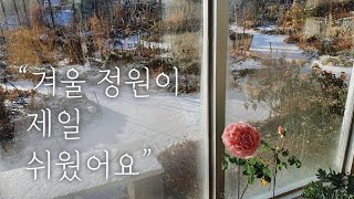 겨울정원 관리법/쉽고 자연스러우며 식물에게도 좋은 방법/겨울 정원 꾸미기/겨울정원 가꾸기/겨울정원 쉽게 가꾸기/겨울정원 디자인/정원디자인/겨울화단 관리법/겨울정원 정리